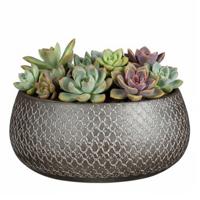 Mica decorations Bloempot / plantenpot schaal Madeira - zilver - terracotta - 27 cm - schubbenpatroo