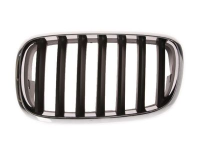 Radiateurgrille 6502070096991P