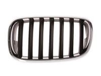 Radiateurgrille 6502070096991P