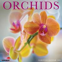 Orchidee Kalender 2026 Orchidee Kalender 2026