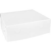 Gebaksdoos Zwanenhalsdoos | karton | 25x25x8cm | duplex | wit | 100 stuks