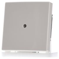2138-32  - Cover plate for Blind plate cream white 2138-32
