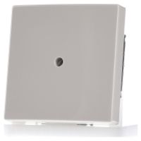 2138-32  - Cover plate for Blind plate cream white 2138-32 - thumbnail