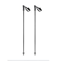 Head Multi Ski Stokken 125