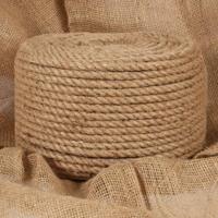 VidaXL Touw 25 m lang 10 mm dik jute