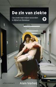 De zin van ziekte (Paperback)