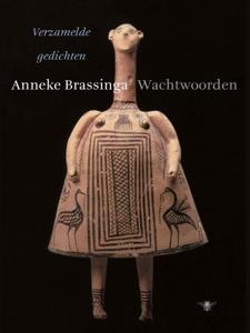 Wachtwoorden (Paperback)