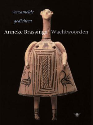 Wachtwoorden (Paperback)