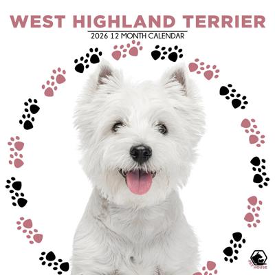 West Highland White Terrier Kalender 2026