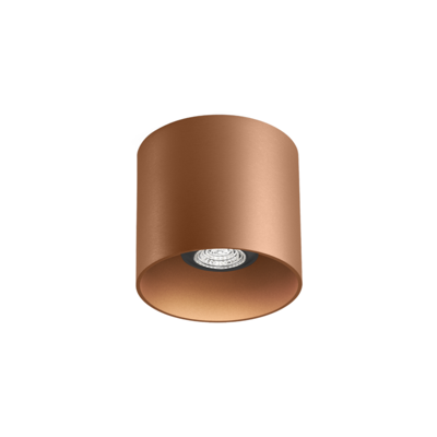 Wever & Ducre - RAY 1.0 PAR16 Plafondlamp