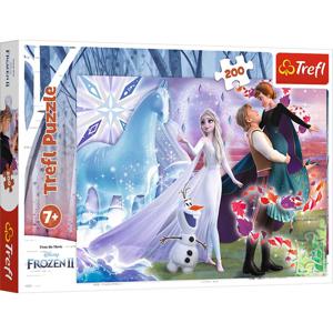 Frozen Disney Puzzel - Magic sister's world