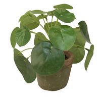 Emerald Kunstplant pilea/pannekoekplant - mini - groen - in pot - 13 cm - Kunstplanten - thumbnail