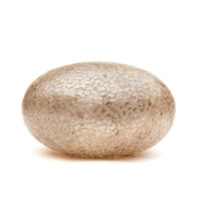 Vloerlamp Wangi Gold UFO S