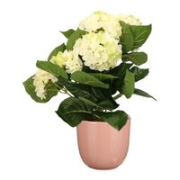 Hortensia kunstplant/kunstbloemen 36 cm - wit/groen - in pot lichtroze glans