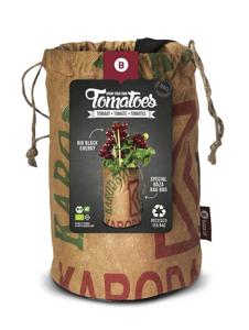 Seeds & Tomatoes rags bio black cherry