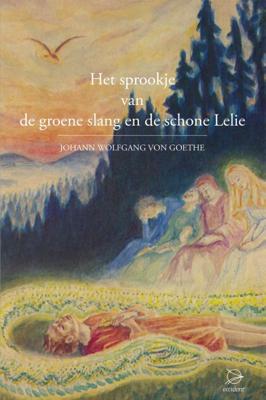 Het sprookje van de groene slang en de schone lelie (Hardback)