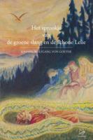 Het sprookje van de groene slang en de schone lelie (Hardback)