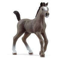 schleich HORSE CLUB Selle Français-veulen - 13957 - thumbnail