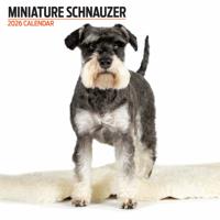 Miniatuur Schnauzer Modern Kalender 2026 Miniatuur Schnauzer Modern Kalender 2026