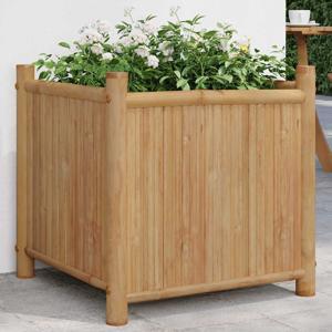 VidaXL Plantenbak 50x50x50 cm bamboe