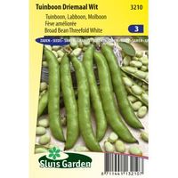 Tuinboon zaden - Driemaal Wit - thumbnail