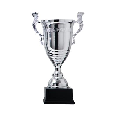 Sportprijzen Leiden Sportprijs AK5550