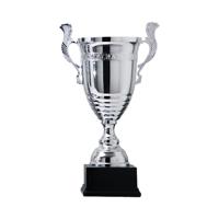 Sportprijzen Leiden Sportprijs AK5550