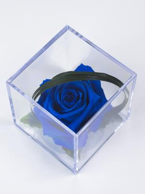 Blauwe eeuwige roos in acrylbox | Long life roos