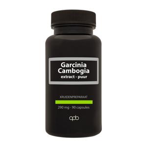 Apb Holland Garcinia cambogia 290mg puur