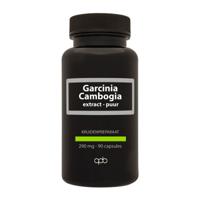 Apb Holland Garcinia cambogia 290mg puur
