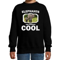 Dieren olifant met kalf sweater zwart kinderen - elephants are cool trui jongens en meisjes