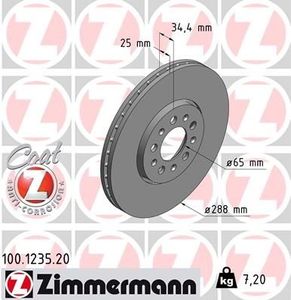Remschijf Coat Z 100123520