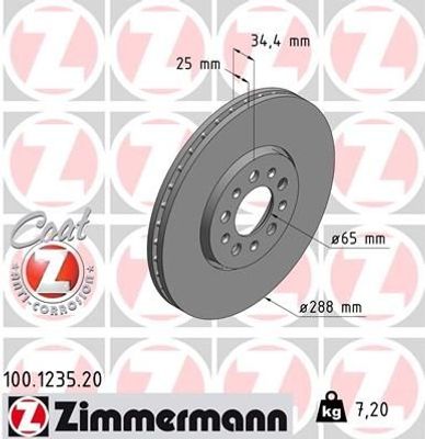 Remschijf Coat Z 100123520