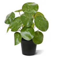 Pannenkoek Pilea 25 cm - Kunstplant