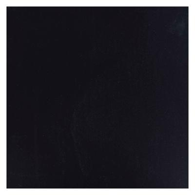Bruynzeel Ecola plakkaatverf fles 16ml zwart 700