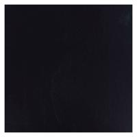 Bruynzeel Ecola plakkaatverf fles 16ml zwart 700