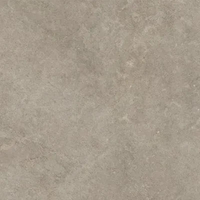 Ragno Richmond RCDV Vloertegel 600X600 Musk 8,5mm Mat Ret.R10
