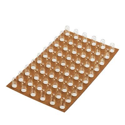 Spruyt Hillen Capsule op kaart nr. 3 60 stuks Feton/Loetschert