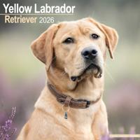 Labrador Retriever Blond Kalender 2026 Labrador Retriever Blond Kalender 2026