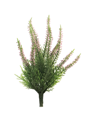 Erica bush new pink x15 24 cm - Nova nature