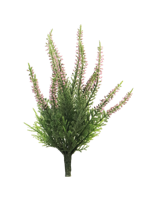 Erica bush new pink x15 24 cm - Nova nature