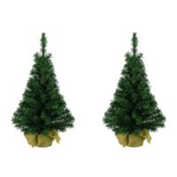 Everlands Imperial pine mini kerstboom - 2x - groen - H35 cm - in zak - kunstboom - kunst miniboompj