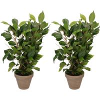 Mica Decorations groene ficus kunstplant - 2x - 40 cm - Kunstplanten - binnenplanten