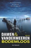 Bodemloos - Damen & Vandermeeren - ebook