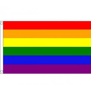 Polyester mega vlag Regenboog 150 x 240 cm