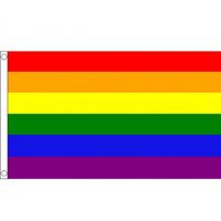 Polyester mega vlag Regenboog 150 x 240 cm