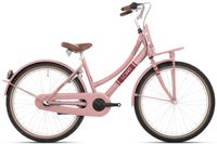 Bikefun Kinderfiets 20" bike fun load - mahogany roze