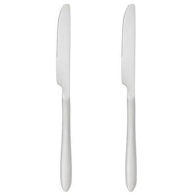 Secret de Gourmet bestek Messen Nevis - 2x stuks - RVS - 23 cm