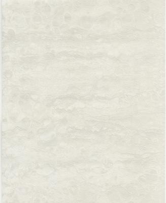Dutch Wallcoverings Fusione - 45073520