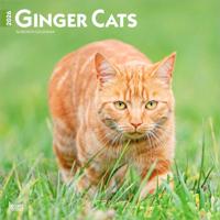 Rode Katten Kalender 2026 Rode Katten Kalender 2026